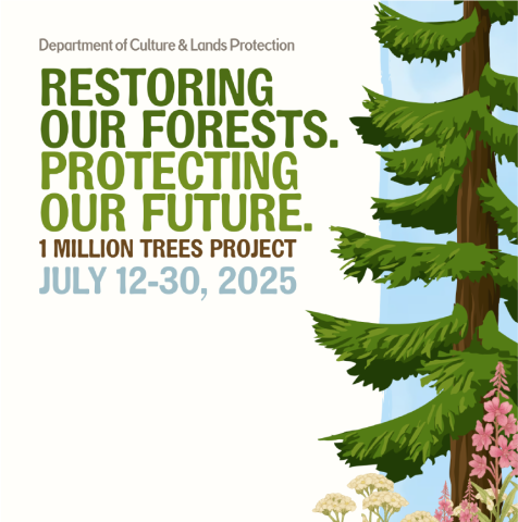 1 Million Trees