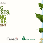 1 Million Trees