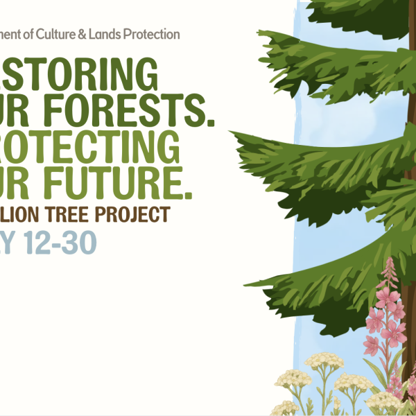 Bringing the Forest Back: Tłı̨chǫ Tree Planting Initiative Begins
