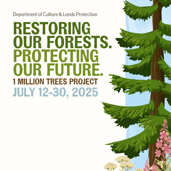 1 Million Trees